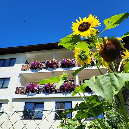 Gaestehaus Herma Ramsau am Dachstein Extérieur photo