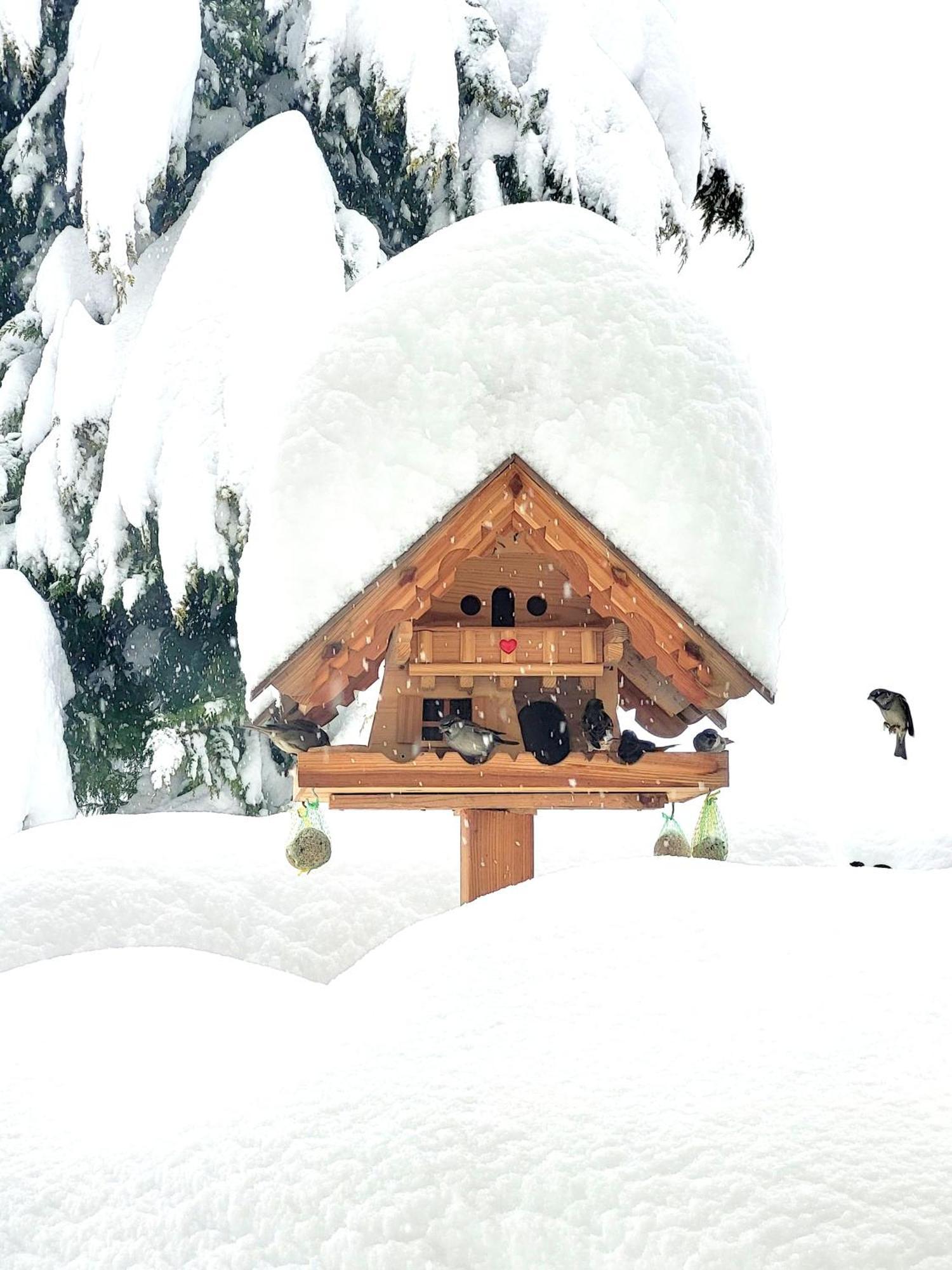 Gaestehaus Herma Ramsau am Dachstein Extérieur photo