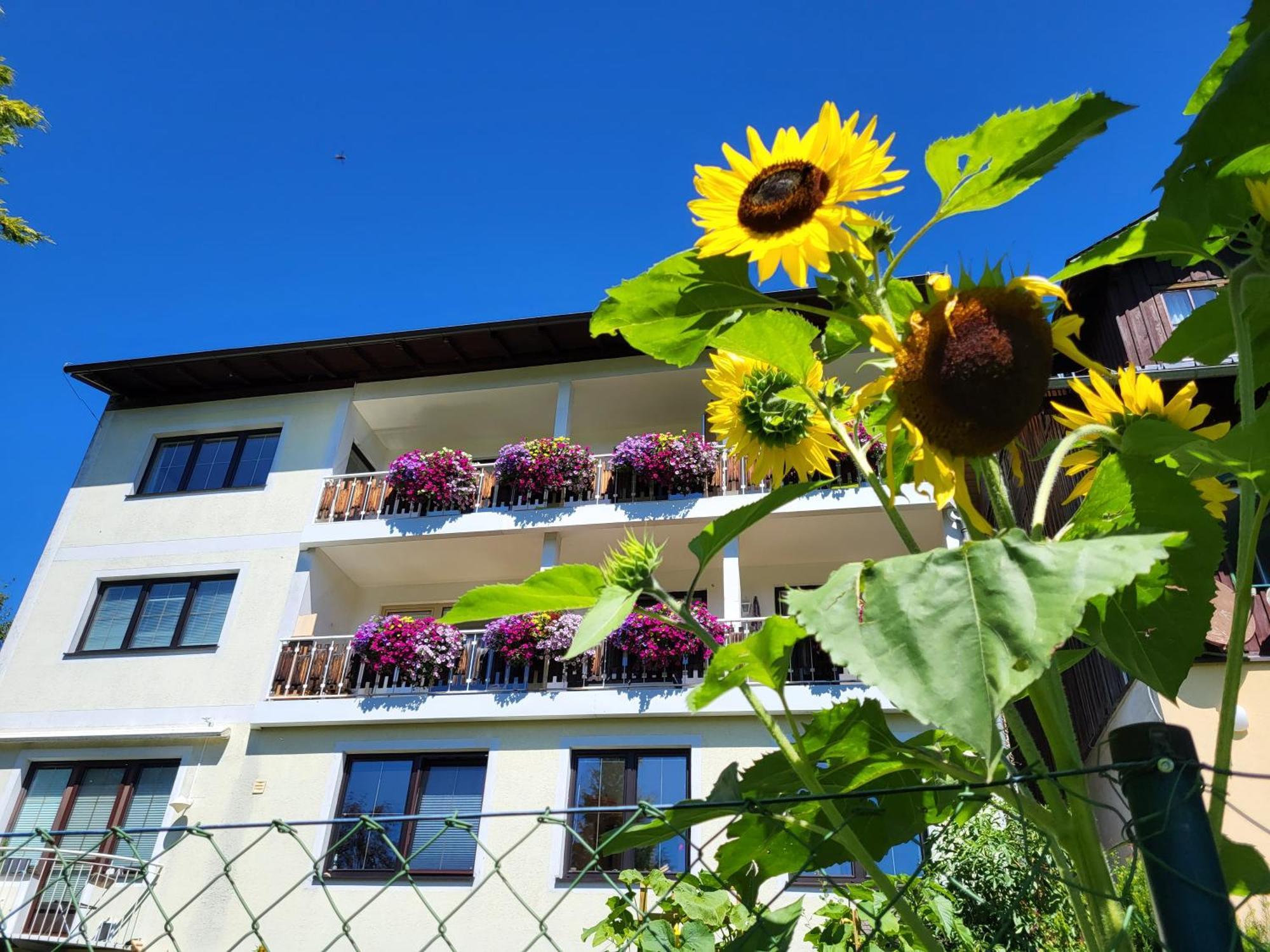 Gaestehaus Herma Ramsau am Dachstein Extérieur photo