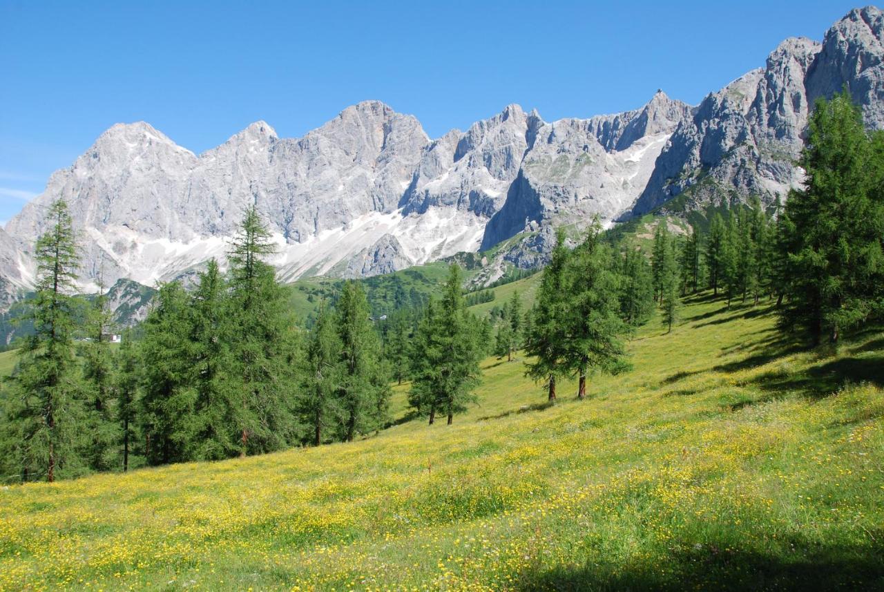 Gaestehaus Herma Ramsau am Dachstein Extérieur photo