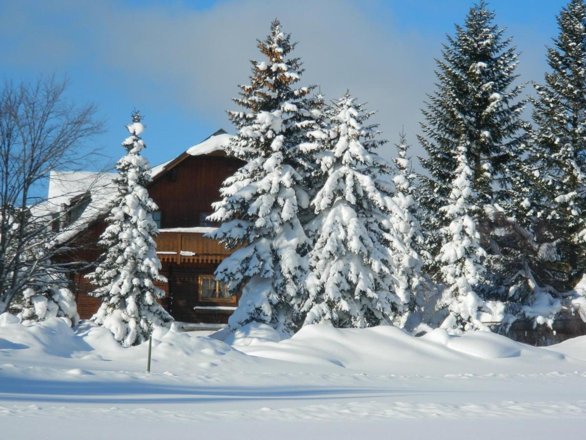 Gaestehaus Herma Ramsau am Dachstein Extérieur photo